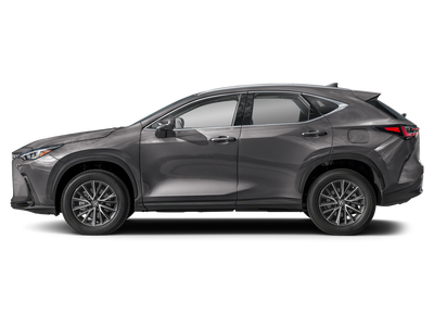 2024 Lexus NX NX 250 FWD