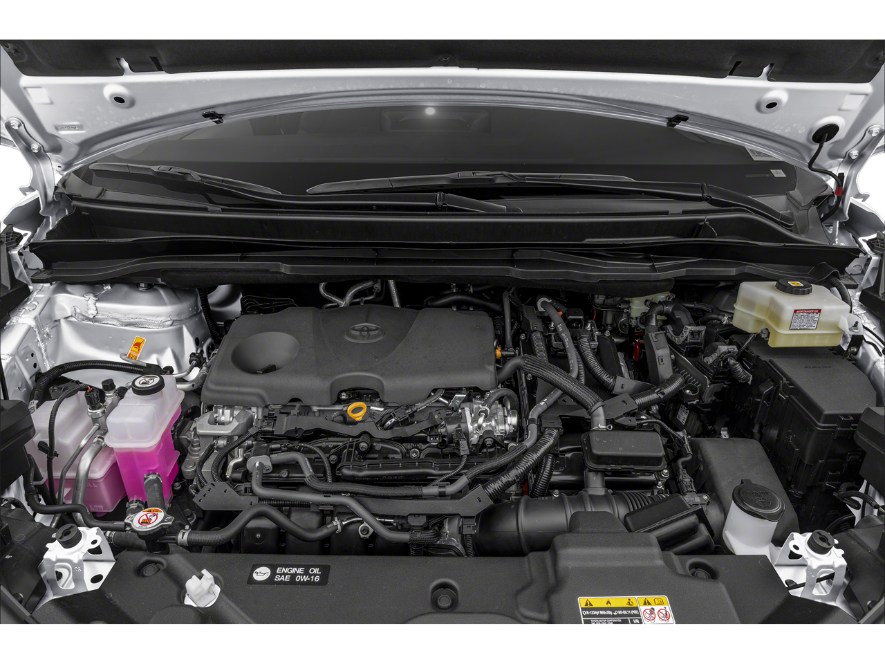 2025 Toyota Sienna LE FWD 8-Passenger