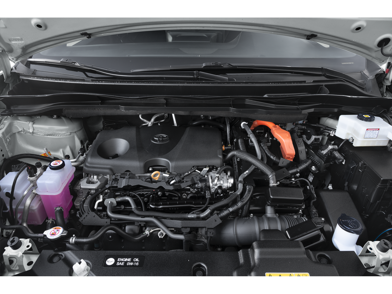 2025 Toyota Sienna Woodland Edition AWD 7-Passenger