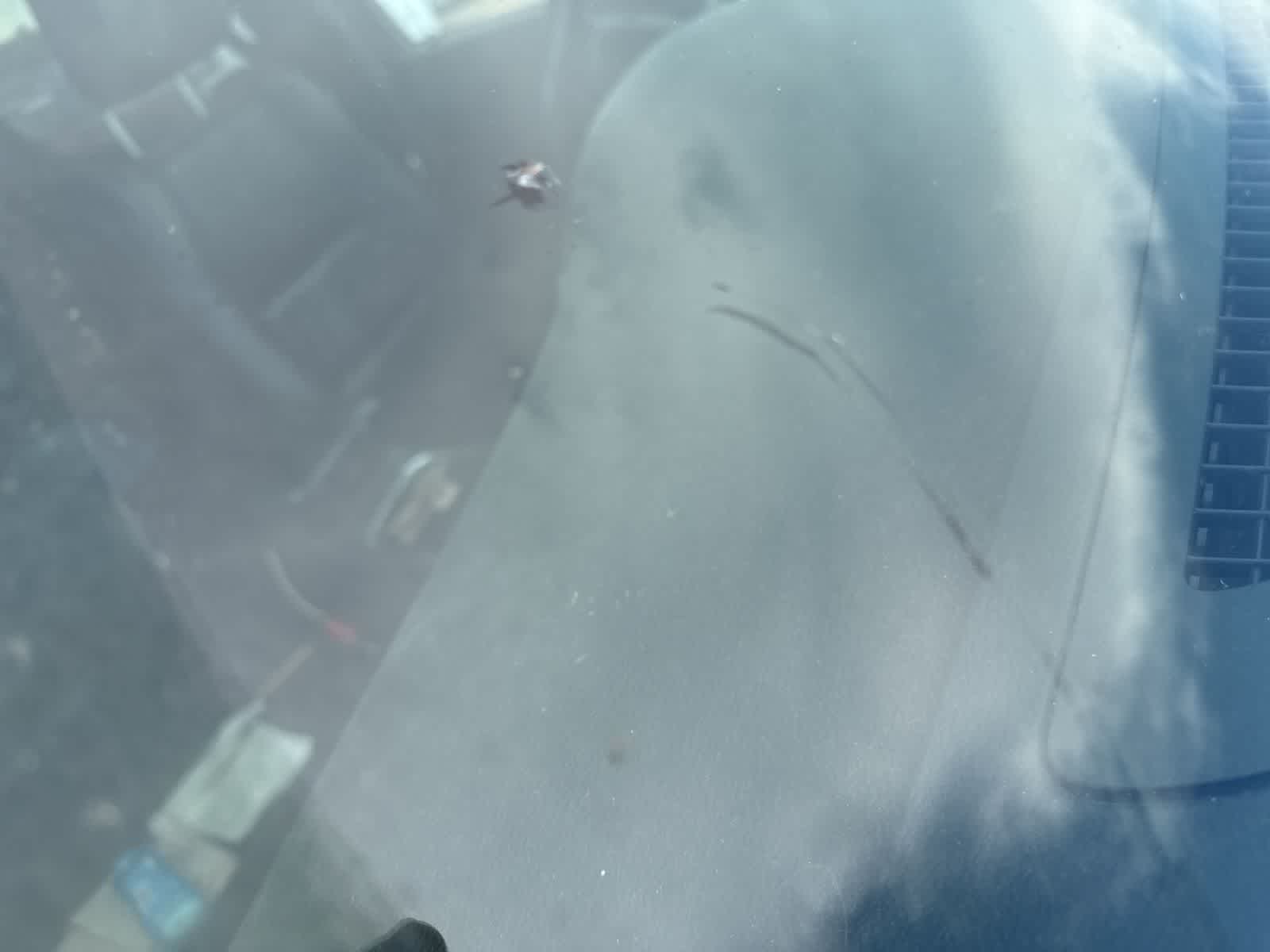 2013 Dodge Durango AWD 4dr Crew