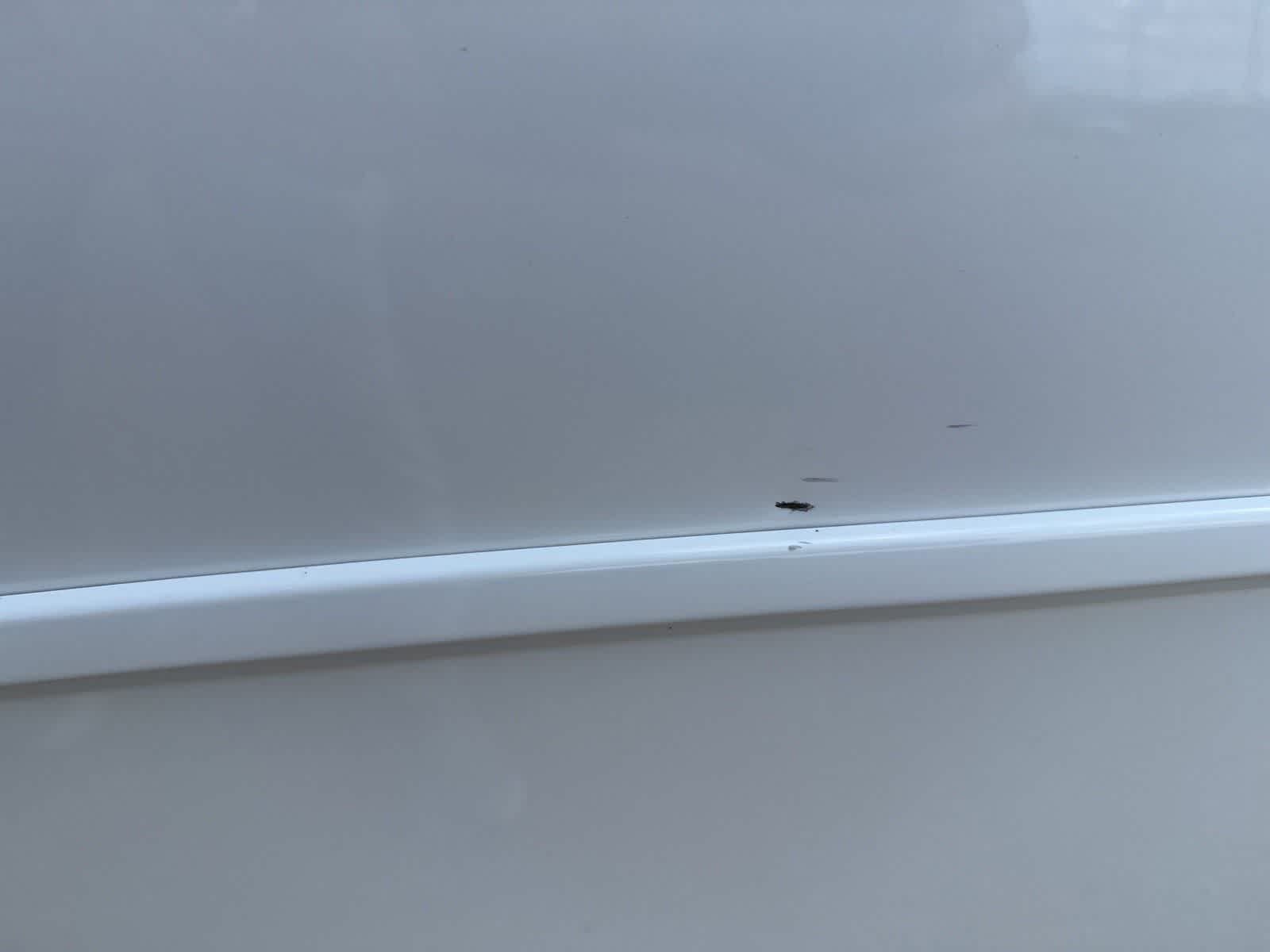 2024 Toyota RAV4 Hybrid LE AWD